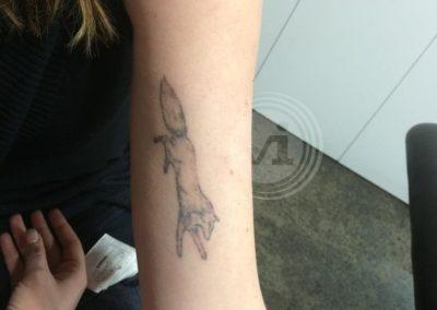 Black fox tattoo after laser fade