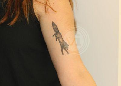 Black fox tattoo before laser